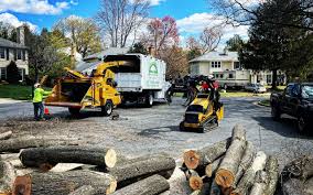 Best Hazardous Tree Removal  in Waukee, IA